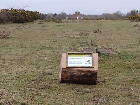 Logtern at Greenham Common