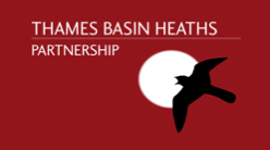bird flying across the sun on a dark red background