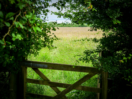 Ludgershall Meadows. Picture: Kate Titford