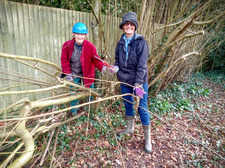 Hedgerow Havens volunteers helping out with hedgelaying in the village of Whitchurch. Picture: Marcus Militello