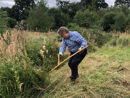 Person scything long grass