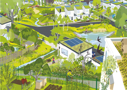 An artist's impression of The Wildlife Trusts' vision for more environmentally-friendly new housing. Picture: The Wildlife Trusts