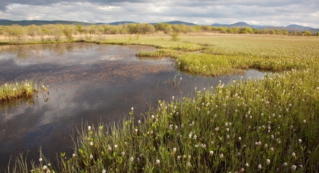 A waterlogged peat bog landscape. Picture: Peter Cairns/2020VISION
