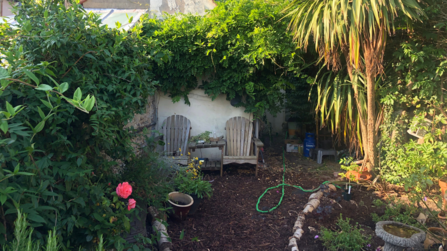 Two chairs in a garden surrounded by plants