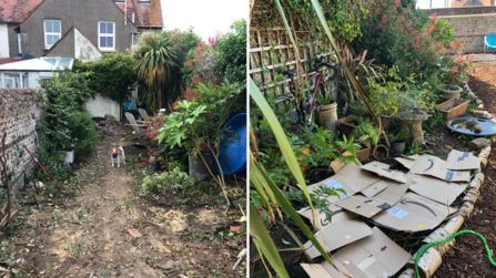 Garden with patio slabs removed and new area covered by cardboard to improve the soil