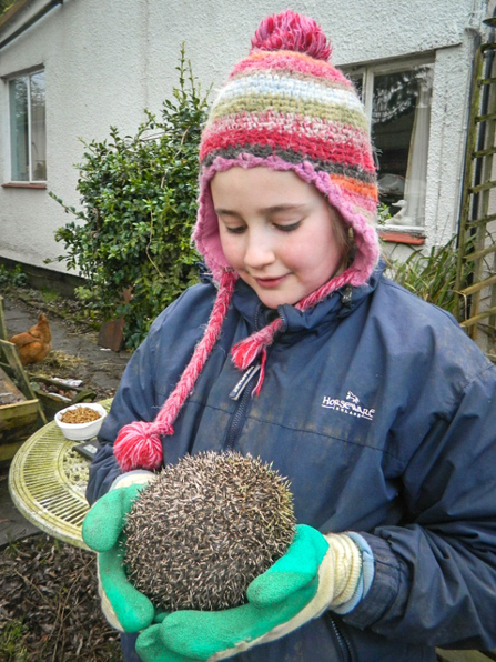 A girl wearing gardening gloves to hold a hedgehog in her garden. Picture: Jane Bolton