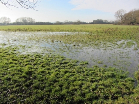 Flooding at BBOWT's Chimney Meadows nature reserve in West Oxfordshire. Picture: BBOWT
