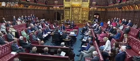 Peers in the House of Lords debate the Environment Bill in September 2021. Picture: UK Gov