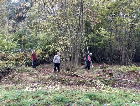 Volunteers creating a woodland scallop