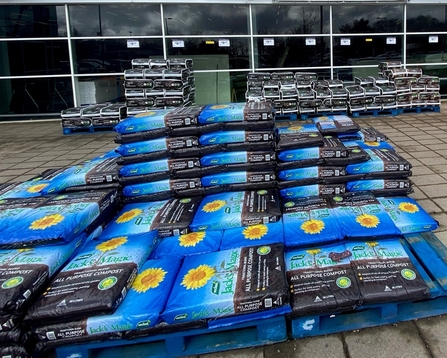 Peat compost for sale at B&Q. Picture: The Wildlife Trusts