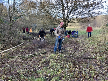 Volunteer clearing woodland