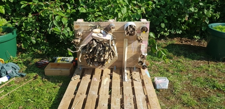 A bug hotel at Banbury Community Garden built with help from Wild Banbury. Picture: Wild Banbury