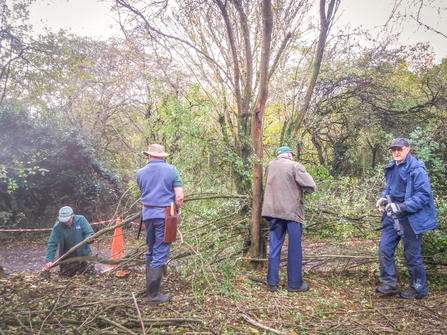 BBOWT volunteers creating a hedgerow using traditional hedgelaying techniques at the Nature Discovery Centre (NDC) in Thatcham. Picture: Pete Hughes