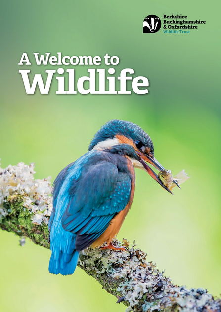 cover of Welcome to Wildlife magazine