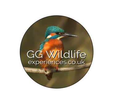 GG Wildlife Experiences Logo