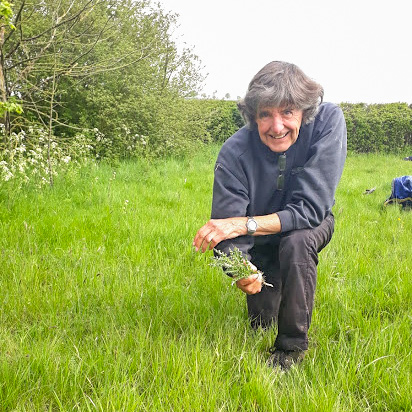 A Quainton resident helping pull thistles out of the village recreation ground. Picture: Marcus Militello