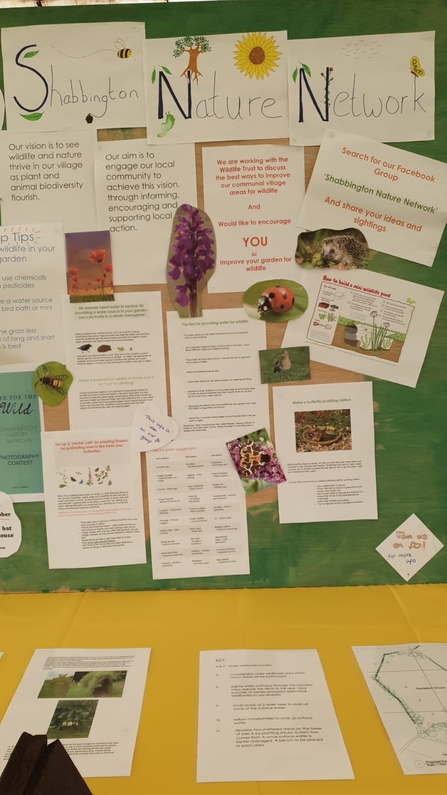 Noticeboard with poster about butterflies and information about nature