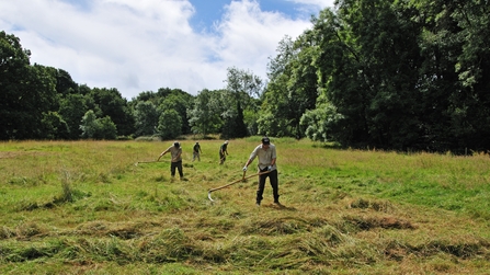 Volunteers scything