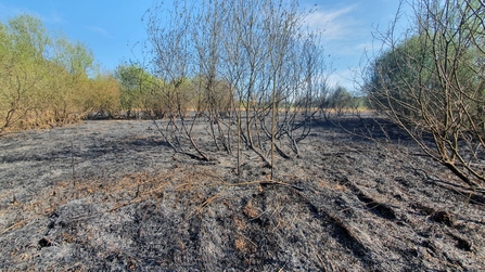 Potteric Carr nature reserve fire damage