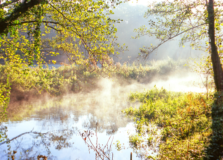 River Pang, Moor Copse by Clive Ormonde