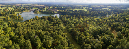 The High Park woods on the Blenheim Palace Estate. Picture: Pete Seaward