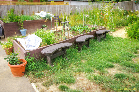 Mill Lane Community Garden in Chinnor.