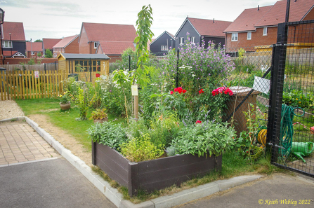 Mill Lane Community Garden in Chinnor.