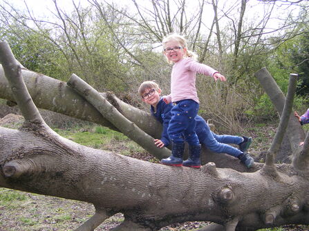 Two children climbing on a fallen log