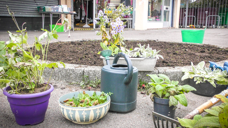 Planting flowers in Coronation Square in Southcote, Reading, as part of BBOWT's Nextdoor Nature project. Picture: Kate Titford