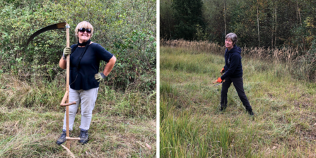 Volunteers scything