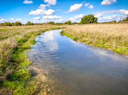 The new Thames channel at Chimney Meadow created by BBOWT as part of its £2m Water Environment Grant (WEG) project. 