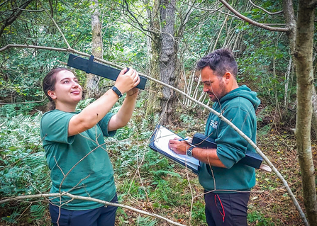 BBOWT ecology trainees check dormouse footprint tunnels