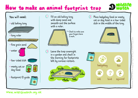 Footprint trap activity sheet