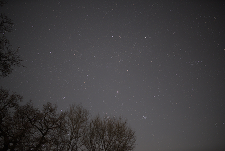 Starlit sky at night