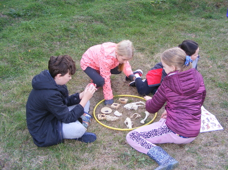 A group of children look at the bones and skulls of animals