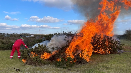 Fireman next to gorse bush on fire