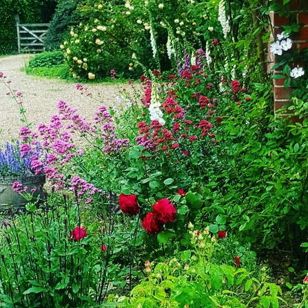 Colourful flowerbed next to driveway