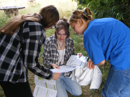 Three young girls look at a species key