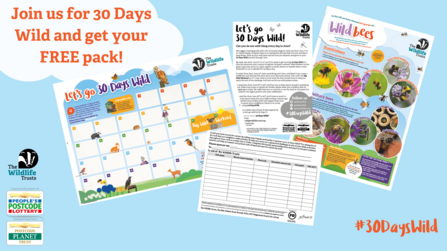 30 Days Wild pack with wallchart and bee poster