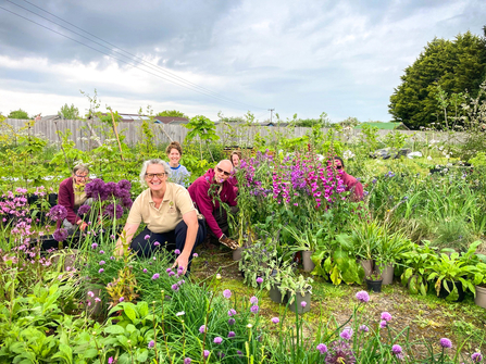 Katie Horgan from BBOWT with staff from Lindengate charity and some of the 700 plants from BBOWT's Wilder Spaces garden at RHS Malvern Spring Festival