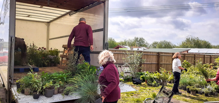 Staff at Lindengate charity unloading plants from BBOWT's RHS Malvern Wilder Spaces garden at their base in Wendover