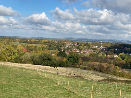 View across fields and woods to housing in a valley