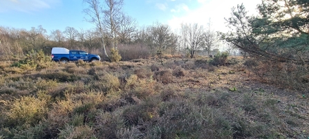 Ford ranger at Snelsmore Common