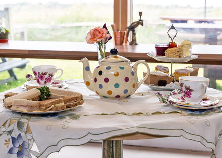 Tea and sandwiches available at the College Lake Visitor Centre