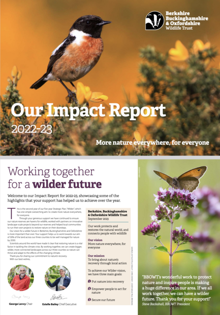 Cover image of the BBOWT Impact Report 2021-22 featuring a stonechat perched on gorse