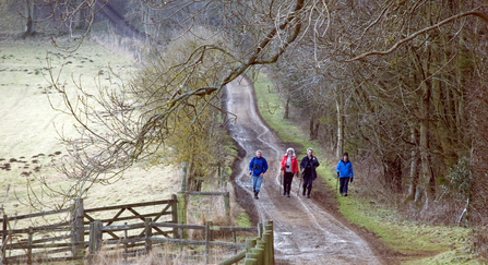 winter walk