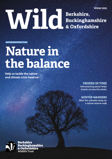 Cover page of the BBOWT Wild magazine, winter 2023. Cover image shows the silhouette of a tree against night sky.