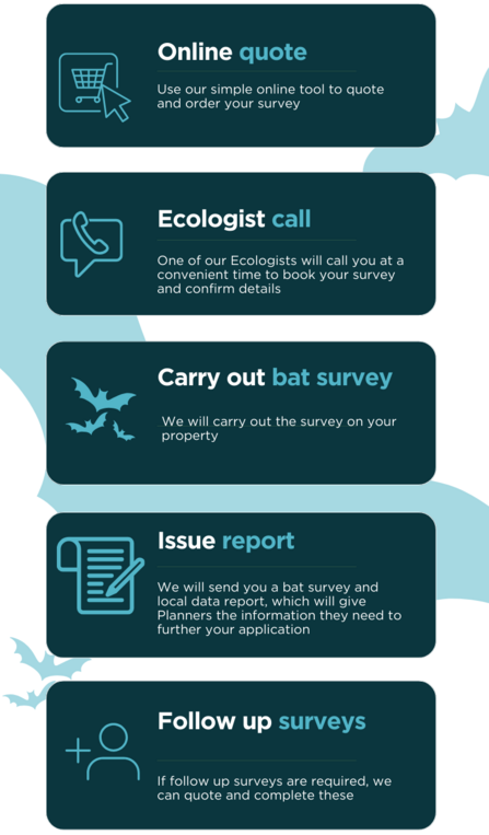 Future Nature Bat Survey Process