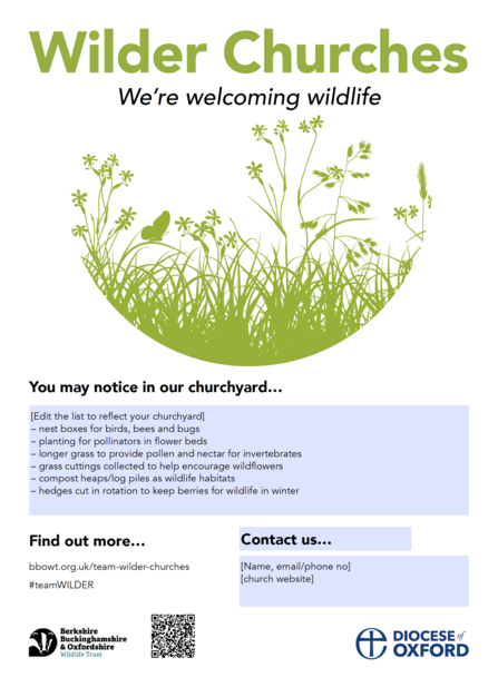 A church poster with meadow graphic titled 'Wilder Churches: We're welcoming wildlife'