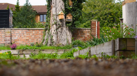 An urban garden with flowers and wildlife boxes attached to a tree.